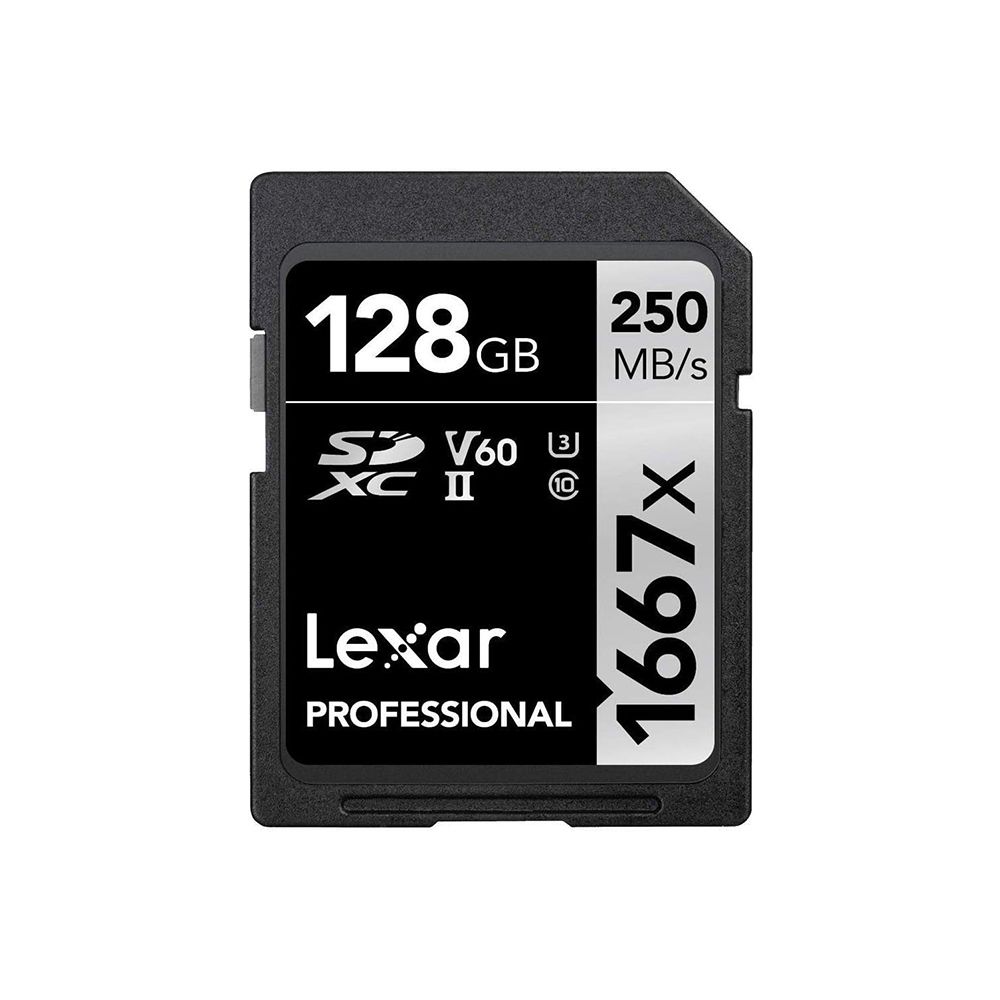 Professional 1066x 256GB microSDXC, UHS-I Card 1 159